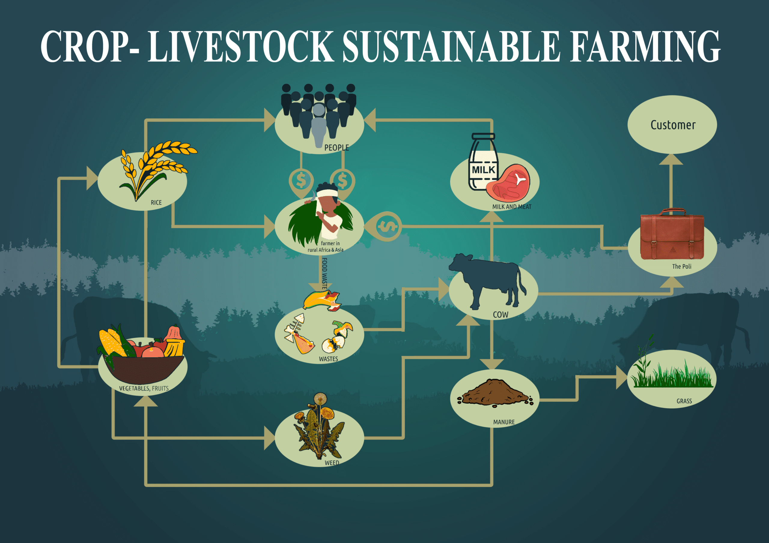 How croplivestock sustainable farming can offer benefits over big meat